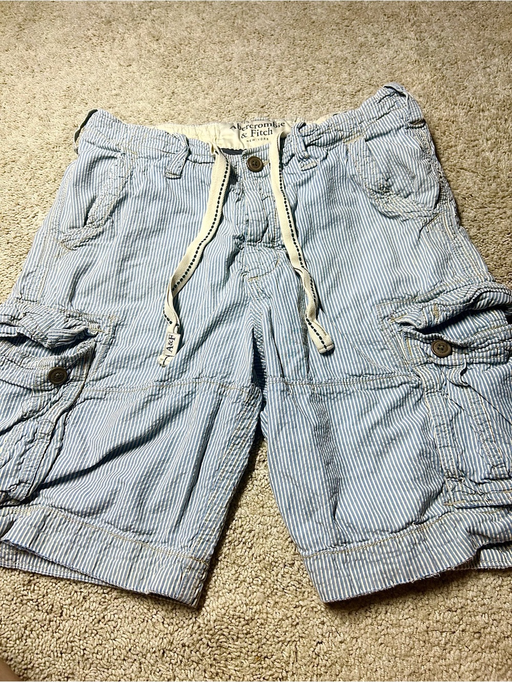 Abercrombie & Fitch Blue & White Striped Cargo Shorts – Size 34